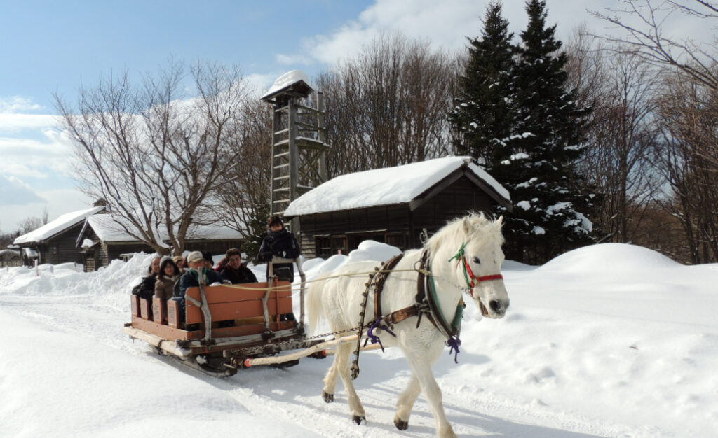 馬そり体験「北海道開拓の村」